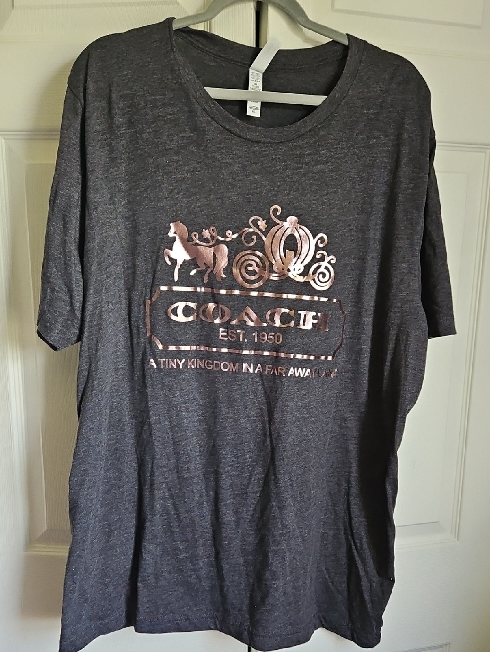 Bella Canvas Dark Gray Short Sleeve Tee with Rose Gold Cinderella Coach Graphic